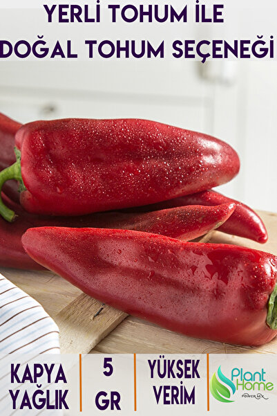 Plant Home Power Mix 5 Gram Yağlık Kapya Biber Tohumu - Yerli Ürün - Salçalık ve Yemeklik