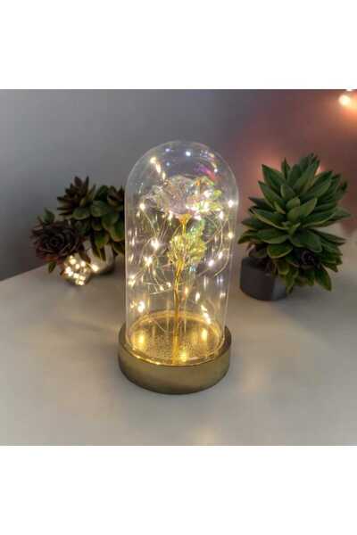 HKM Hobim Sevgililer Ve Anneler Gününe Özel, Dekoratif Solmayan Sonsuzluk Gülü,ışıklı Fanusta Gül,ışıklı Fanus