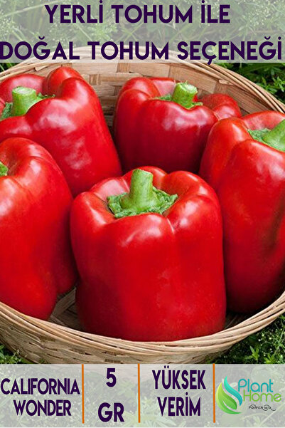 Plant Home Power Mix Biber Dolma California Wonder Tohumu Dolmalık Kırmızı Bi...