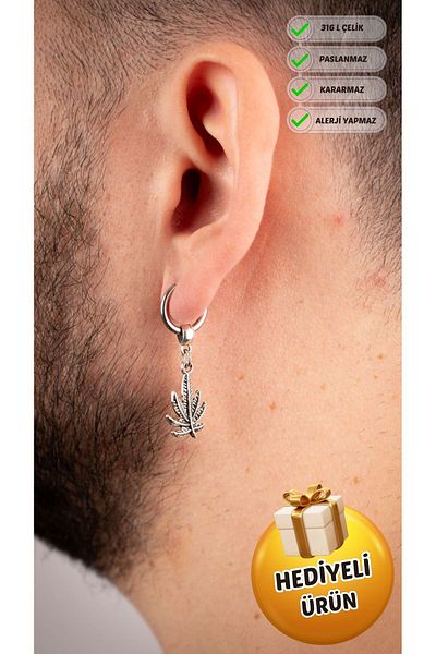 Piercing Market Steel & Silver Men's Unisex Steel Jewelry Ring Dangle Model Earrings Does Not Darken Rust