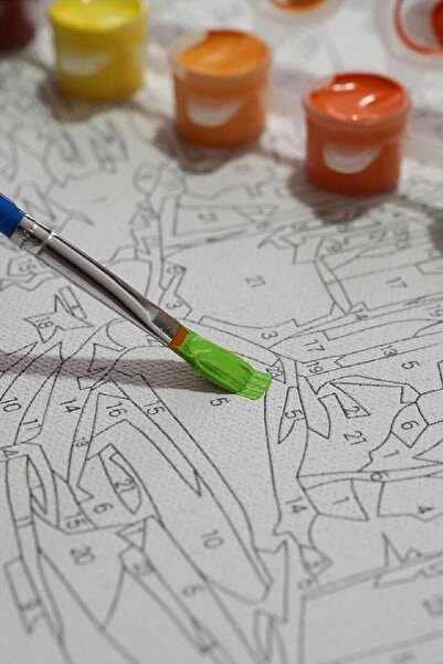 Palmiye Hobi Sanat Kırtasiye Sayılarla Boyama 40x50 Cm Tuval Seti Fırça Boya Dahil Çıtaya Gerili - Pikap