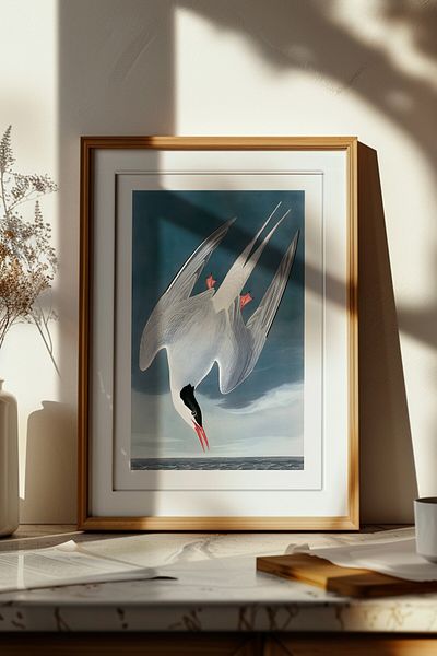 Home Arctic Tern Painting, Home Decoration, Living Room Painting, Minimal, Frameless Poster
