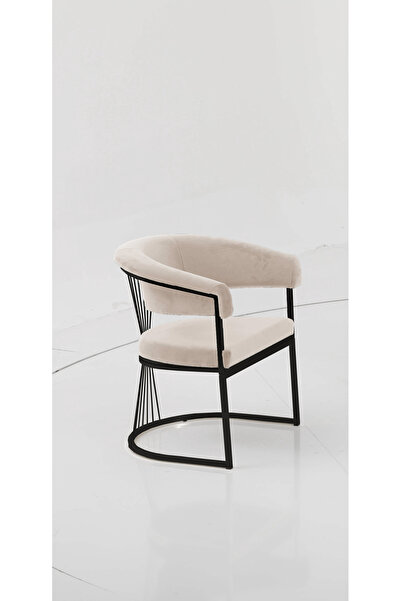 Rozexi Rio Çay Seti Tekli Koltuk Sandalye Berjer Oturma Odası Kafe Antre Hol Ofis Siyah Metal