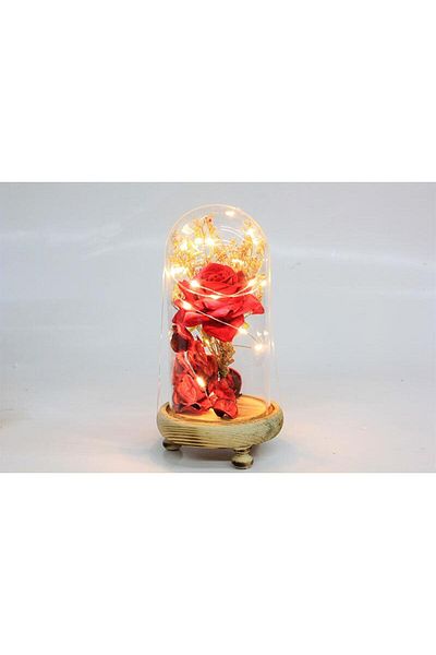 Skygo Fanus Rose 19/10cm Led Lighted Glass Fan Gift
