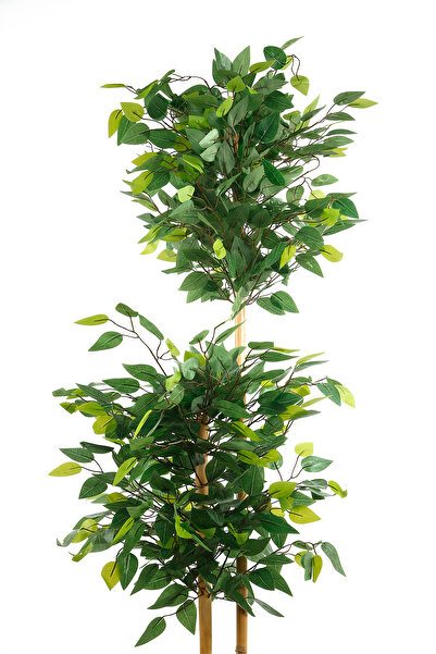 MH MiniHediye Yapay Çiçek Beton Saksıda Benjamin Salon Balkon Ev Ağacı Yeşil Bitkisi Bambu Gövdeli 160 cm