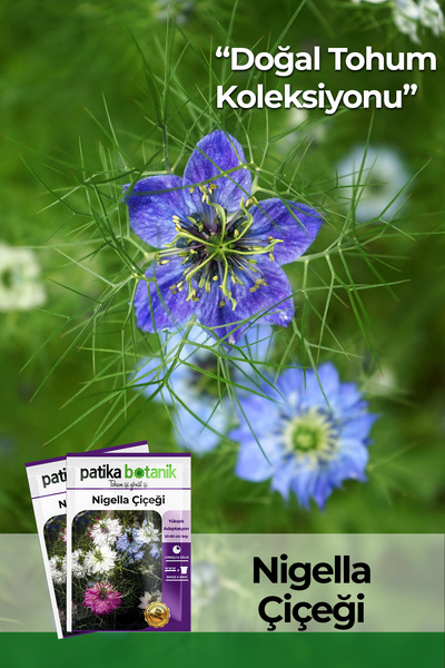 Patika Botanik 100 Adet Nigella Çiçeği Tohumu