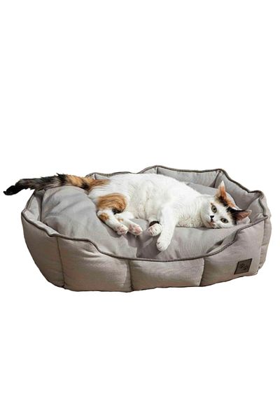 English Home Katzenbett, Katzenbetten für Hauskatzen, Abnehmbarer Bezug, Maschinenwaschbares Hundebett, Gefüllter Cu