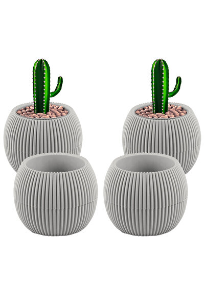 TEMMUZ HOME 4 Adet 0.15 Litre Mini Mercan Kaktüs Sukulent Saksısı Minik Plast...