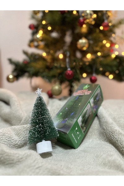 çamağacı Küçük Ledli Çam Ağacı