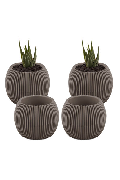 TEMMUZ HOME 4 Adet 0.15 Litre Mini Mercan Kaktüs Sukulent Saksısı Minik Plast...