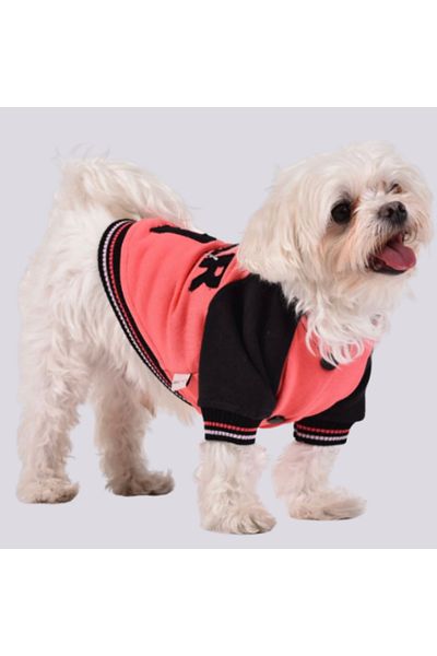 GedyCo Star Girl Fleece Small Breed Dog Sweatshirt