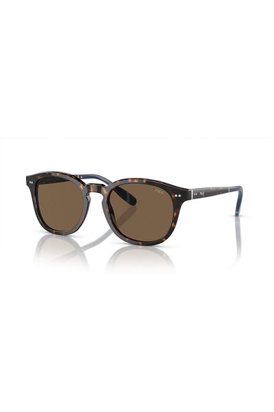 Polo Man Phantos Sunglasses- Ph 4206 - Lense Size:52mm - Shiny Dark Havana