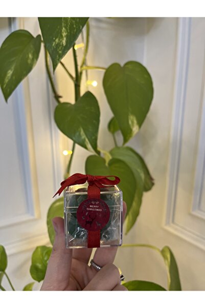 Verda Desing Yılbaşı Hediyesi Notlu Kırmızı Kurdaleli Yeşil Kutulu Küçük Bubb...