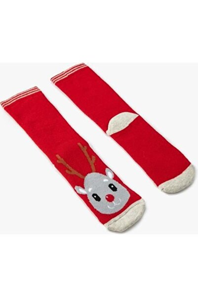 Koton سيكسيري ماركة إل سي