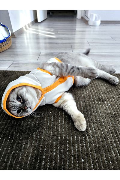 Quun White Stylish Design Cat Dog Cardigan Jacket and Snap Outfit