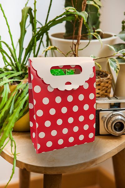 Matbaagraf Hand-Held Cardboard Bag 16 X 12 X 6 Cm, White Polka Dot Red Bag - 2 Pieces