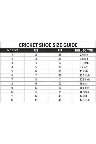 DSC Zooter Cricket Shoes | White/blue | Size: 3 Uk/4 Us/37 Eu | Polyvinyl Chloride | Boys/men
