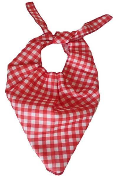 Kostüm Sarayı Scarf| Cowboy Scarf| Red Scarf with Pitikar