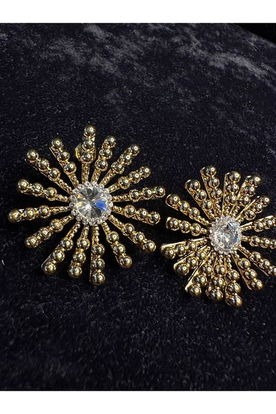 Amber Sun Model Steel Earrings