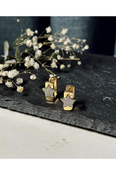 MR Star Figure Zircon Stone Steel Earrings