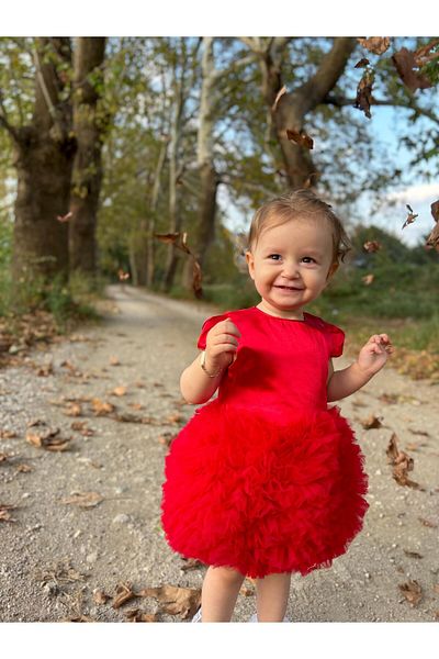 ALYRA Baby Girl Child Short Sleeve Tulle Tutu Special Day Party Birthday Princess Satin Evening Dress