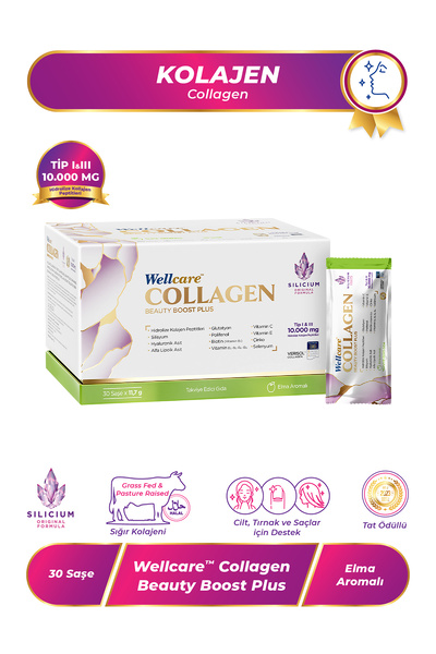 Wellcare Collagen Beauty Boost Plus Tip I & III 10.000 mg - 30 Saşe