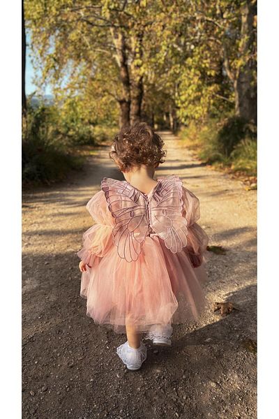 ALYRA Bebeluş Fetiţă Copil Mânecă lungă cu aripi Petrecere de aniversare Nuntă Ocazie specială Tulle Tutu Rochie de prinţesă căptuşită
