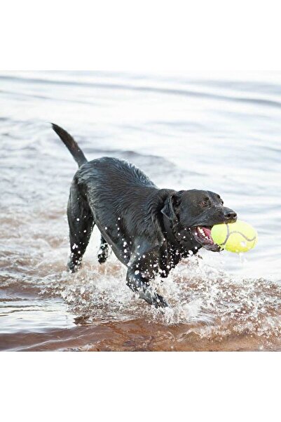 Kong كرة قدم Dog Air Sq مع صوت كبير 17.5 سم