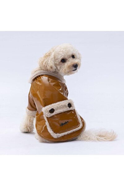 Pawstar Camel Vegas Ceket Kedi Köpek Ceketi Kedi Köpek Kıyafeti Kedi Köpek El...