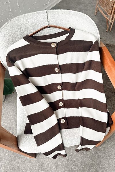 Poliyance Nare Brown Striped Cardigan