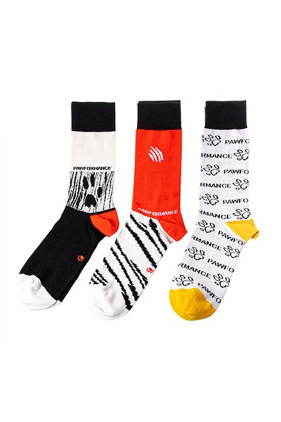 Biggdesign Set de șosete Pawformance pentru câini