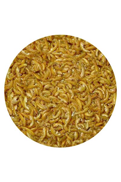 Rotifish Gammarus (Kurutulmuş Karides) 50 GR