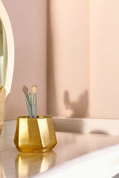 Evene Χρυσός οργανωτής μακιγιάζ - Πινέλο και Organizer Μοντέλο 17
