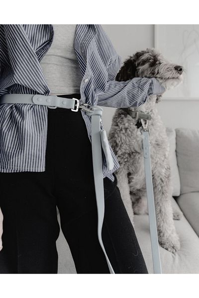 PAKEWAY '' Hands Free'' Hands Free Multifunctional Dog Walking Strap Waterproof