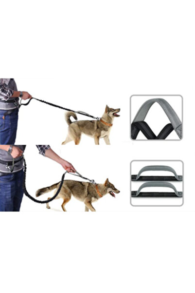 PAKEWAY Ayarlanabilir Bel Çantalı,Eller Serbest,Uzayabilir-Kısalabilir Lastikli Köpek Gezdirme Kayışı