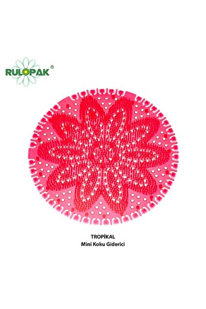 Rulopak Mini Koku Giderici Tropikal