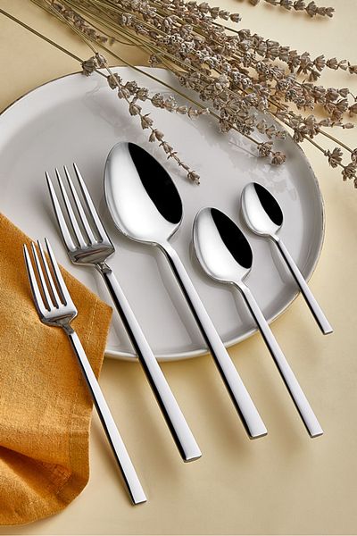 Zagori Alia Model 18/10 Stainless Steel Spoon Set - Premium 60 Pieces, 10 Years Warranty, 304