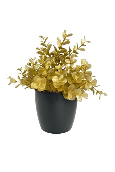 Nettenevime Yapay Çiçek Gold Renk Şimşir Siyah Saksıda Siyah Plastik Saksılı ...