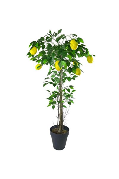 Nettenevime Yapay Limon Ağacı 130cm 8 Limonlu Doğal Görünümlü Siyah Plastik S...