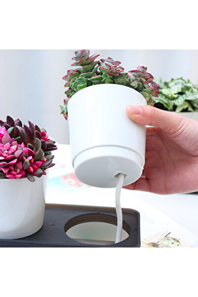 Generic Planting auto watering Dual A101 0.5L