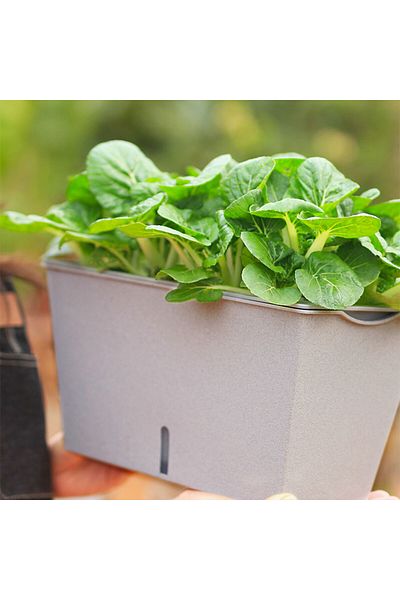 Generic Planting auto watering SC201 4.2L