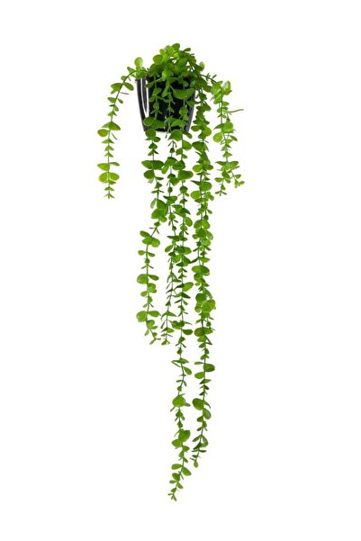 Nettenevime Yapay Çiçek Saksıda Sarkan Okaliptus 80cm
