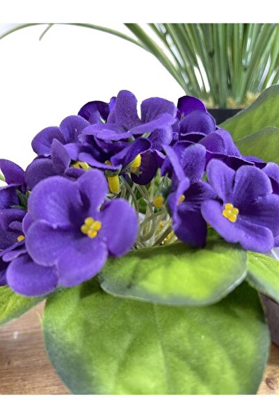 Nettenevime Yapay Çiçek Odun Saksıda Kadife Menekşe Gerçekçi Doku Mor