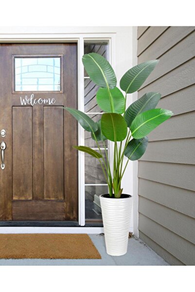 Nettenevime Yapay Ağacı Beyaz 57cm Uzun Kumsal Vazoda Muz Ağacı Yapay Starliçe 195cm 10 Yaprak