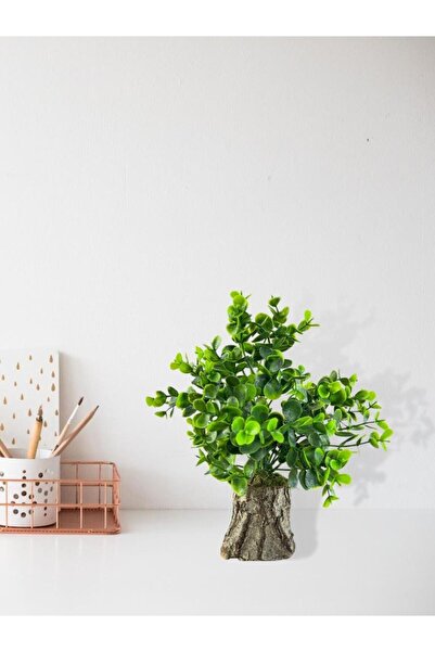 Nettenevime Yapay Çiçek Doğal Kütük Odun Saksıda Şimşir Okaliptus Masa Çiçeği