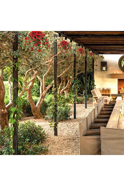 Nettenevime Yapay Çiçek Sarkaç Sepette Begonvil Bodrum Çiçek Sepeti Kırmızı