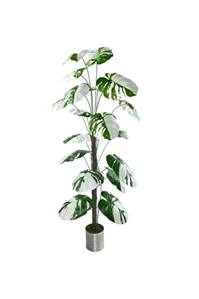 Nettenevime Yapay Ağaç Beyaz Monstera 18 Dallı Çalılı Gövde 120x60cm Gümüş Aleminyum Saksıda