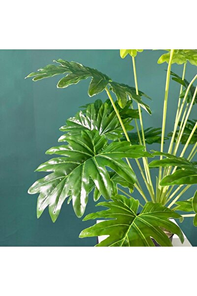 Nettenevime Yapay Ağaç Salon Bitkisi Syngonium 70 Cm 18 Yaprak Antrasit Saksıda