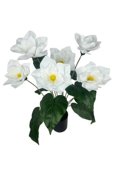 Nettenevime Yapay Çiçek Islak Manolya Çiçeği 6 Çiçekli 65cm Siyah Saksıda Salon Çiçeği