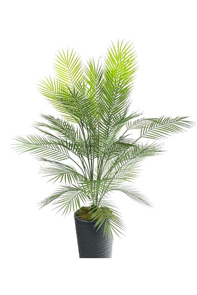 Nettenevime Τεχνητό δέντρο Areka Tree Black Tall Palm Tree σε Βάζο Παραλία Τεχνητό Areka 170cm 40 Φύλλα